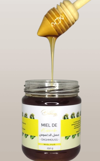 Miel de Daghmouss